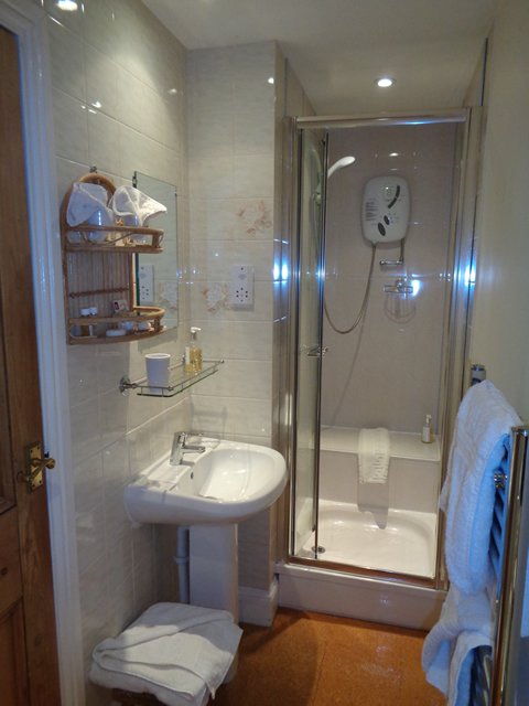Guest Suite Shower Room